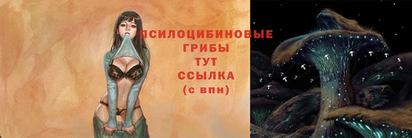 крисы Армянск