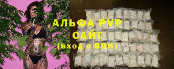 крисы Армянск