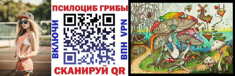 Псилоцибиновые грибы MAGIC MUSHROOMS Бабушкин